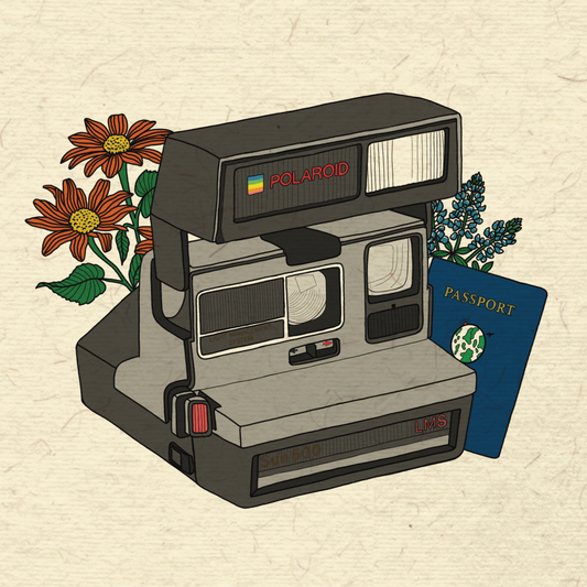 Polaroid Travel Poster