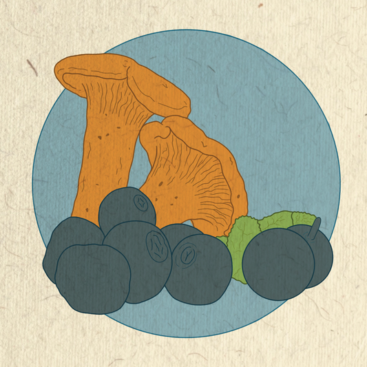 Forrest Gold Edition Poster